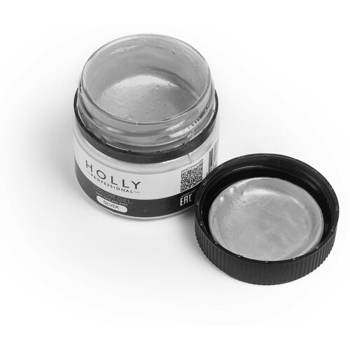  Holly Professional     /   ,    Color Gel Silver   -     , -,   