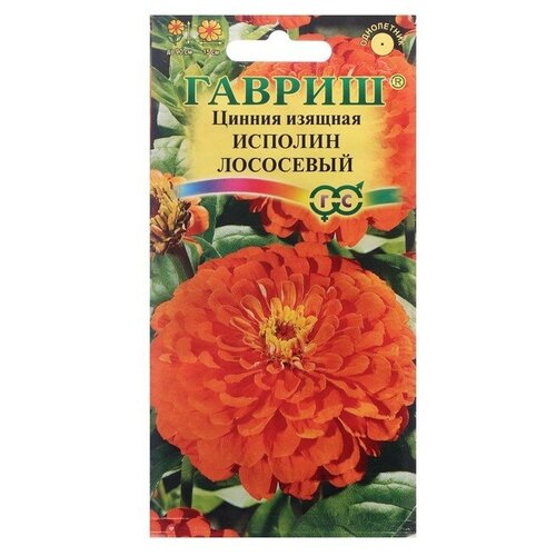 ������ ������ ������ ������ ������ ������ 