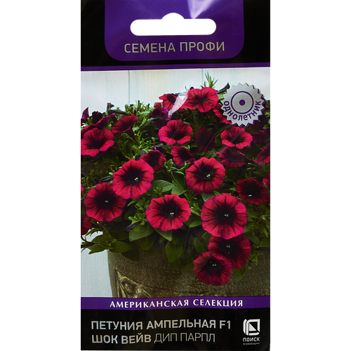 ������ ������ ������ ������ ����� ������� ��������� ��� ���� ��� ����� F1 5 ��. ����