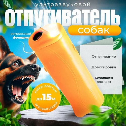 ������ ������ �������������� ������������ ����� ����