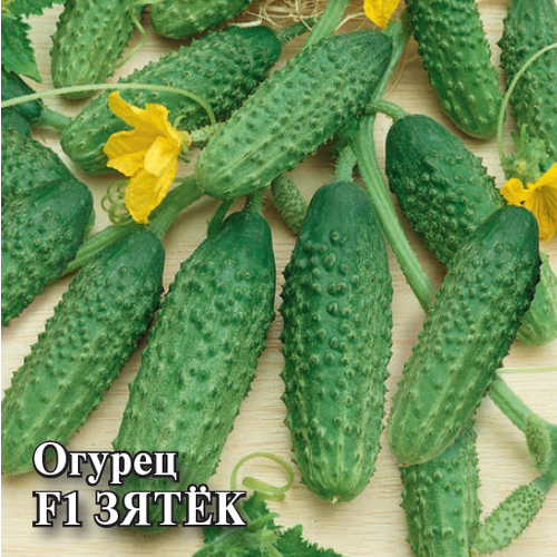 ������ ������ ������ ������ ����� F1 �������� 100�� ������������������ ������ (������) ����