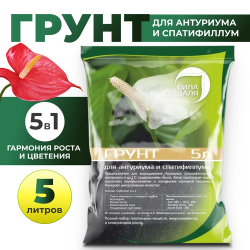 ������ ������ ����. ����� ��� ���������, ������������, ������������� ���� �������/ ����� ��� ��������� ������, 5 � ����