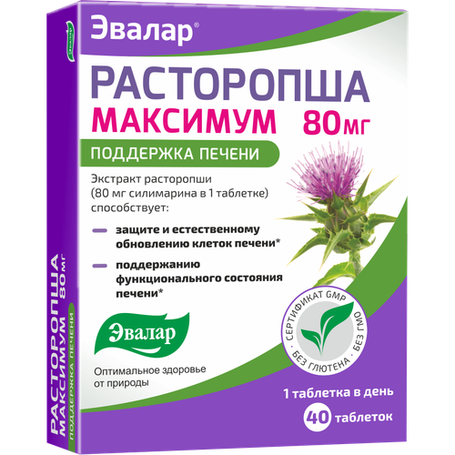 ������ ������ ���������� �������� ���., 40 ��. ����