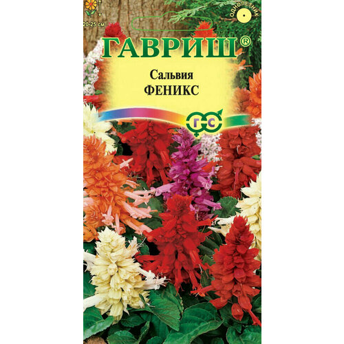 ������ ������ ������ ������� ������, �����, 0,05�, ������, ��������� ��������� ����