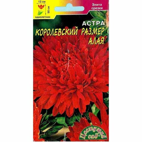 ������ ������ ������ ����� ����������� ������, ���� (����������) (�������� ���) 0,1� ����