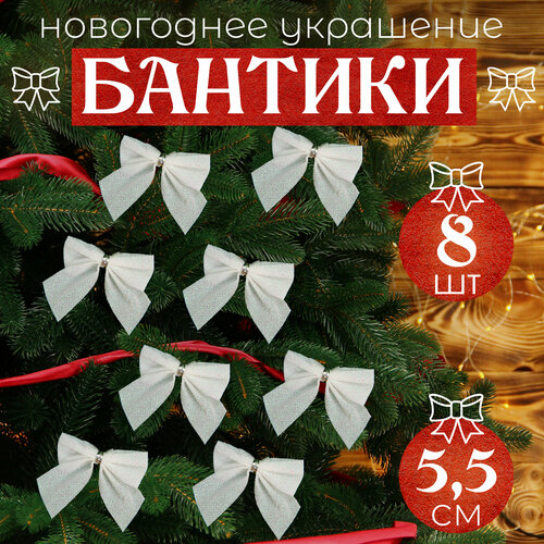 ������ ������ ����� �� ���� ����� 8�� 5,5�� ����