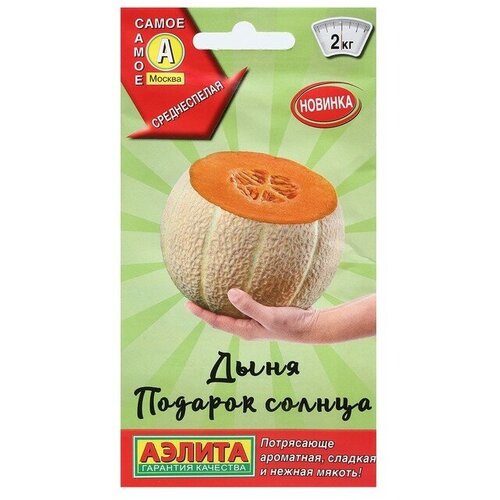 ������ ������ ���� ������� ������ 1� ������ ����