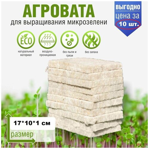 ������ ������ �������� ��� ����������� ����������� 17*10*1 ��, ����� 10�� / �������� ��� ����������� ����������� � �������� ����