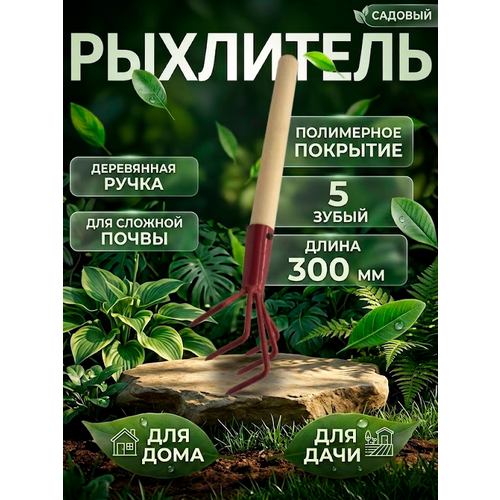 ������ ������ ��������� ��������� ������ ������� �-5 � ���������� �������� / ��������� ��� ���� � ������� ����