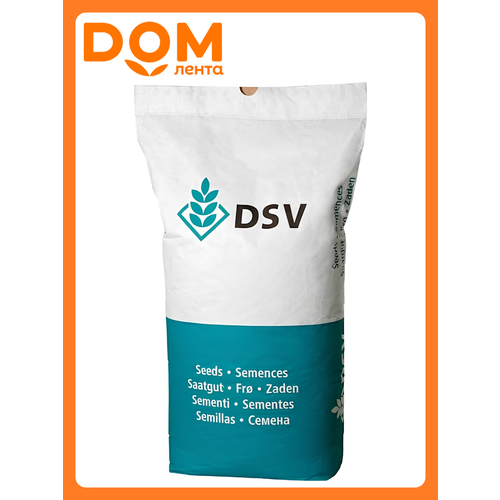 ������ ������ ����� 420 ����� 5�� DSV ����