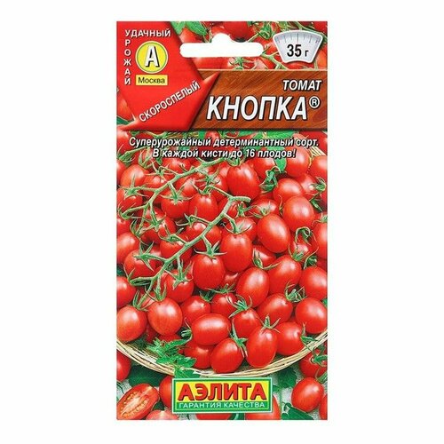 ������ ������ ������ ����� ������ (�����������), �����������, (������) 20�� ����