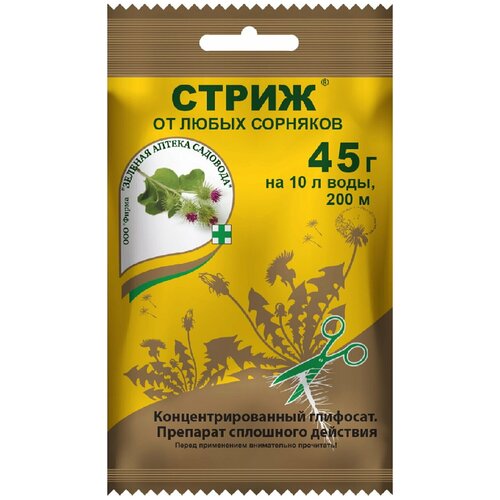 ������ ������ �����, ��� �� ����� �������� 45 ����� ����