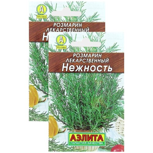 ������ ������ �������� �������� (20 �����), 2 ������ ����