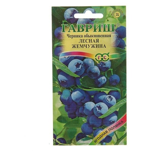 ������ ������ ������ ������� ������������ 