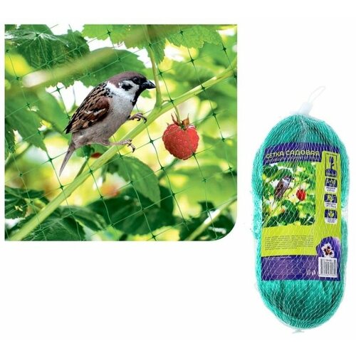 ������ ������ ����� ��� ������ ������ �� ����, 5�10�, ����������, ����