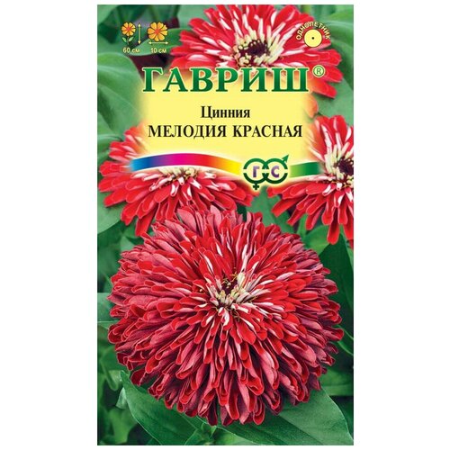 ������ ������ ������. ������ 