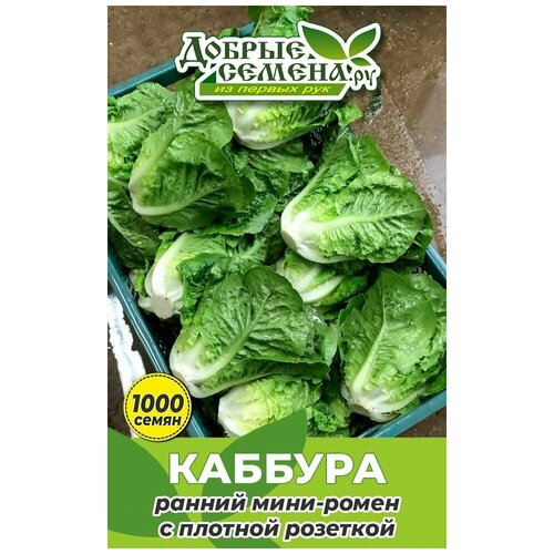 ������ ������ ������ ������ ������� - 1000 �� - ������ ������. �� ����