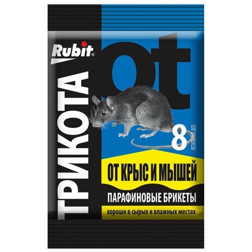     Rubit    8  80    -     , -,   