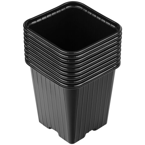 ������ ������ RUSSIA �������� ��� �������, 90�90�95 ��, ���������� 64341, 10 �� ����