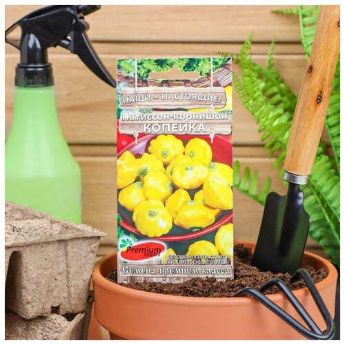 ������ ������ ��������-�������� ������� (7 �����), 2 ������ ����