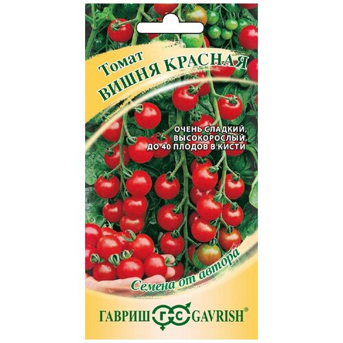 ������ ������ ����� ����� ����� ������� ����