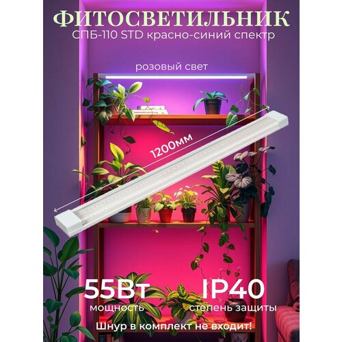 ������ ������ �������������� ������������ ���-110-���� ����-������� ������ 55�� 1200�� IN HOM ����