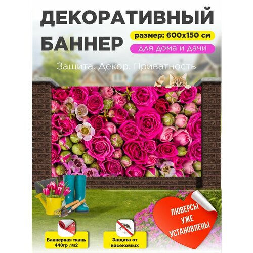 ������ ������ ������������ ����� ������ ��������� 600 �� � 150 �� � ��������� ����