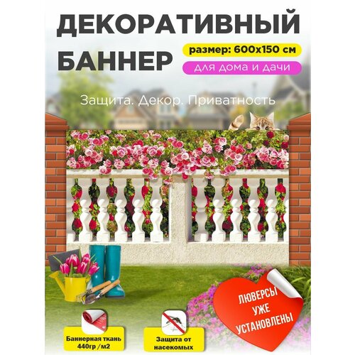 ������ ������ ������������ ����� ������ ��������� 600 �� � 150 �� � ��������� ����
