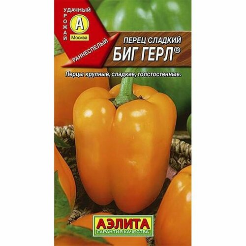 ������ ������ ������ ����� ������� ��� ���� (������) 20�� ������� ����� ����