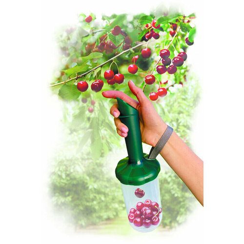 ������ ������ ������������ (������������) ��-2 ����