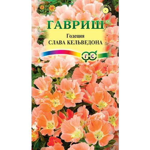 ������ ������ ������� ����� ����������, ������ ������ ( 1 ��: 0,05 � ) ����