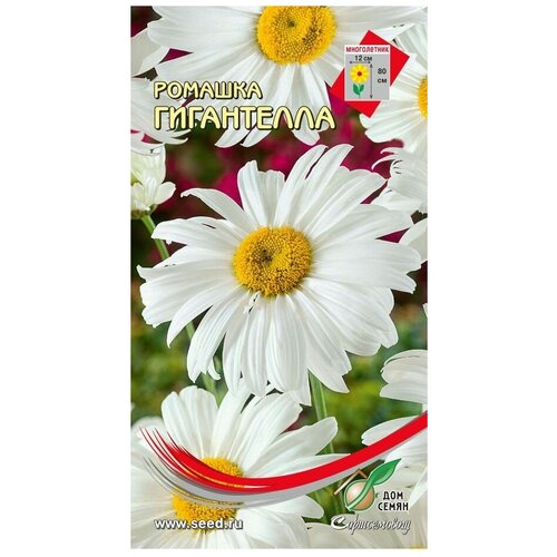 ������ ������ ������� ����������, 70 ����� ����