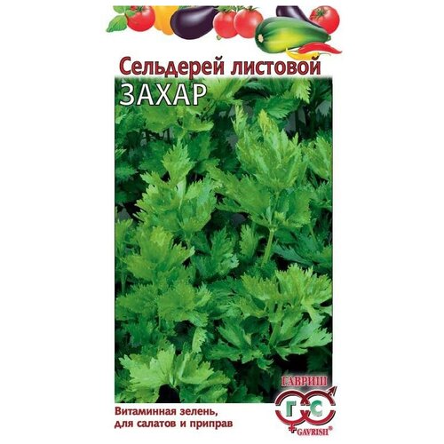 ������ ������ ������. ��������� �������� 