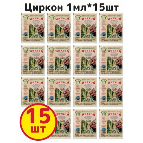 ������ ������ ��������� ����� ��������, ������, 1��, ����-� - �������� 15�� ����