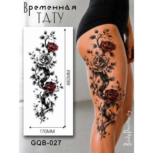 ������ ������ ������� ��������� ���������� (�� �������) �� ��� ����, �����. ������ 480�170�� ����