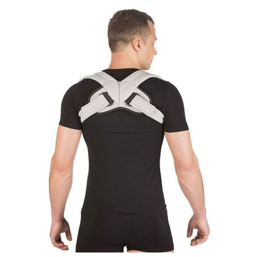 ������ ������ ��������� ������ ������ �-1790, ������ XL, ����� ����