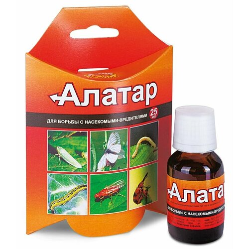 ������ ������ ������ ������ �� ���������-���������� 25�� ����