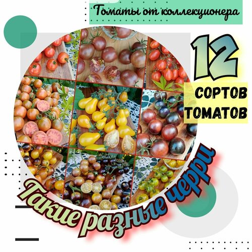 ������ ������ ������ �������, 12 ������ �����-�������, 120 ����� ����