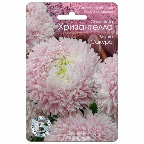 ������ ������ ������ ����� ��������� 