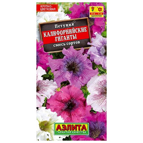 ������ ������ ������� 