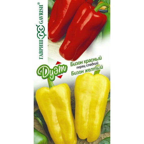 ������ ������ ������ ����� ����� ������ 0,05�+����� ������� 0,05� ������ (������) ���� ����