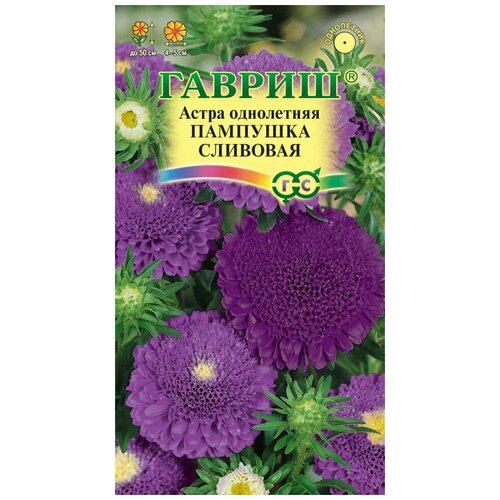 ������ ������ ����� �������� ��������, ��������� ����