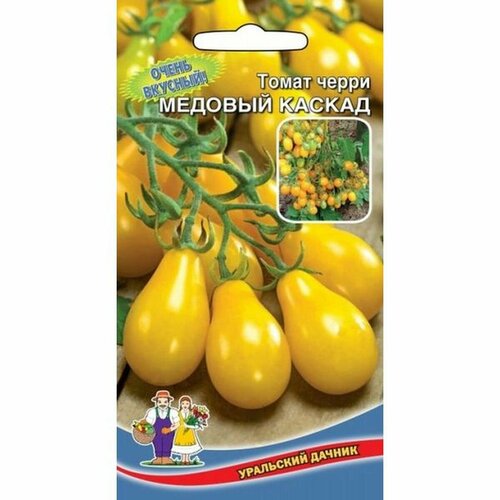 ������ ������ ������ ����� ������� ������, ������������, 12�� ����