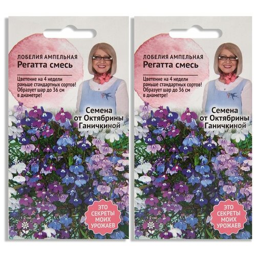 ������ ������ ����� ����� ������� ������� ����� 10 �� - 2 ��. ����