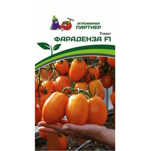 ������ ������ ������ ������ 