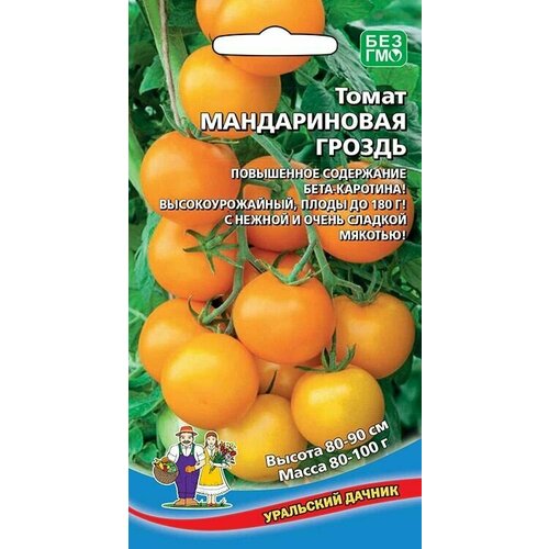 ������ ������ ����� ������������ ������, 1 �����, ������ 20��, ��������� ������, ��� ��������� ������ � �������� ����