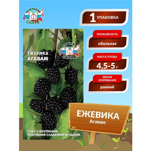 ������ ������ ������� 