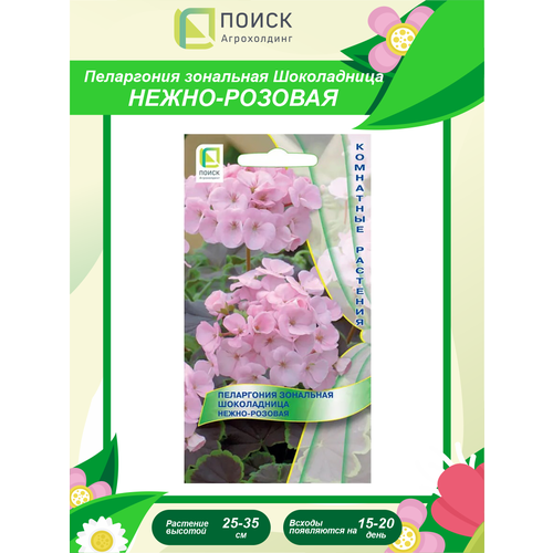 ������ ������ ������ ���������� ��������� ����������� �����-������� ��������� 5 ��. ����