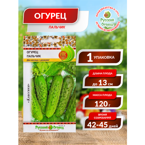 ������ ������ ������. ������ 