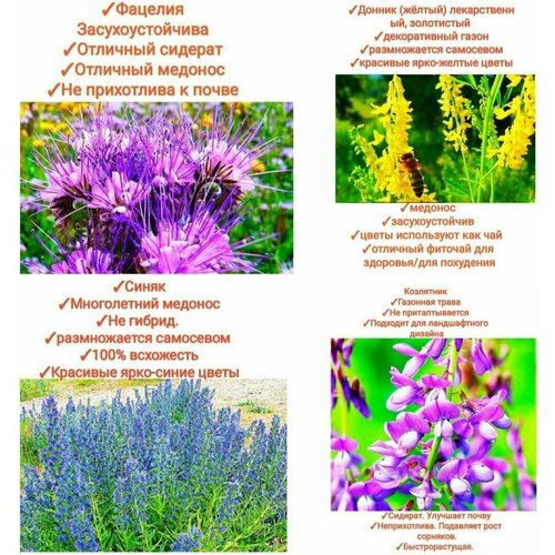 ������ ������ ����� ���������� ����/���������,800��(������+�������+�����+���������) ����